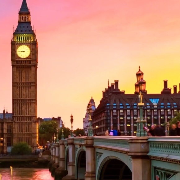 Meet your Posher, Laci - Picture 1 of 1